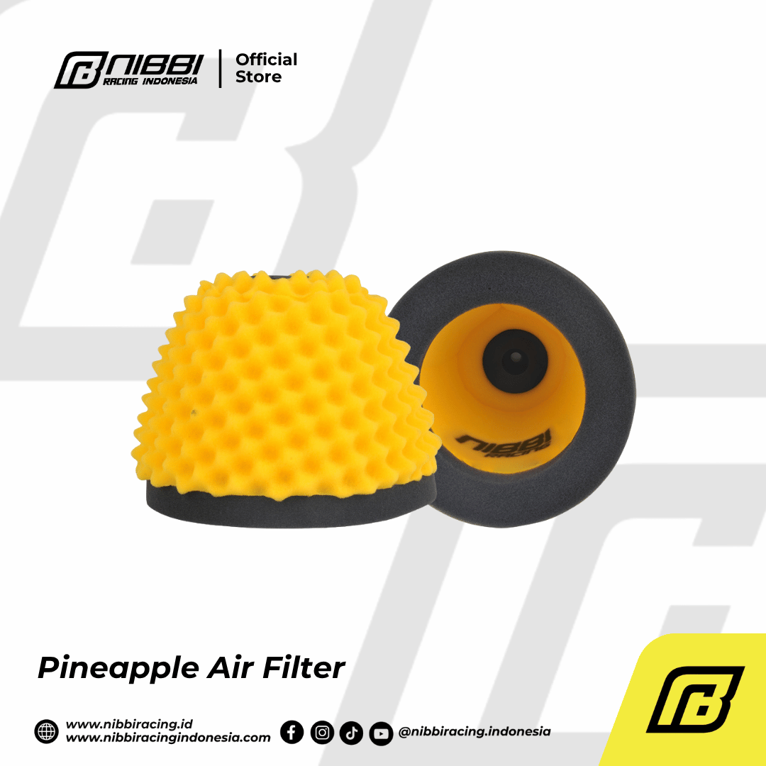Pineapple Air Filter - Gambar 10