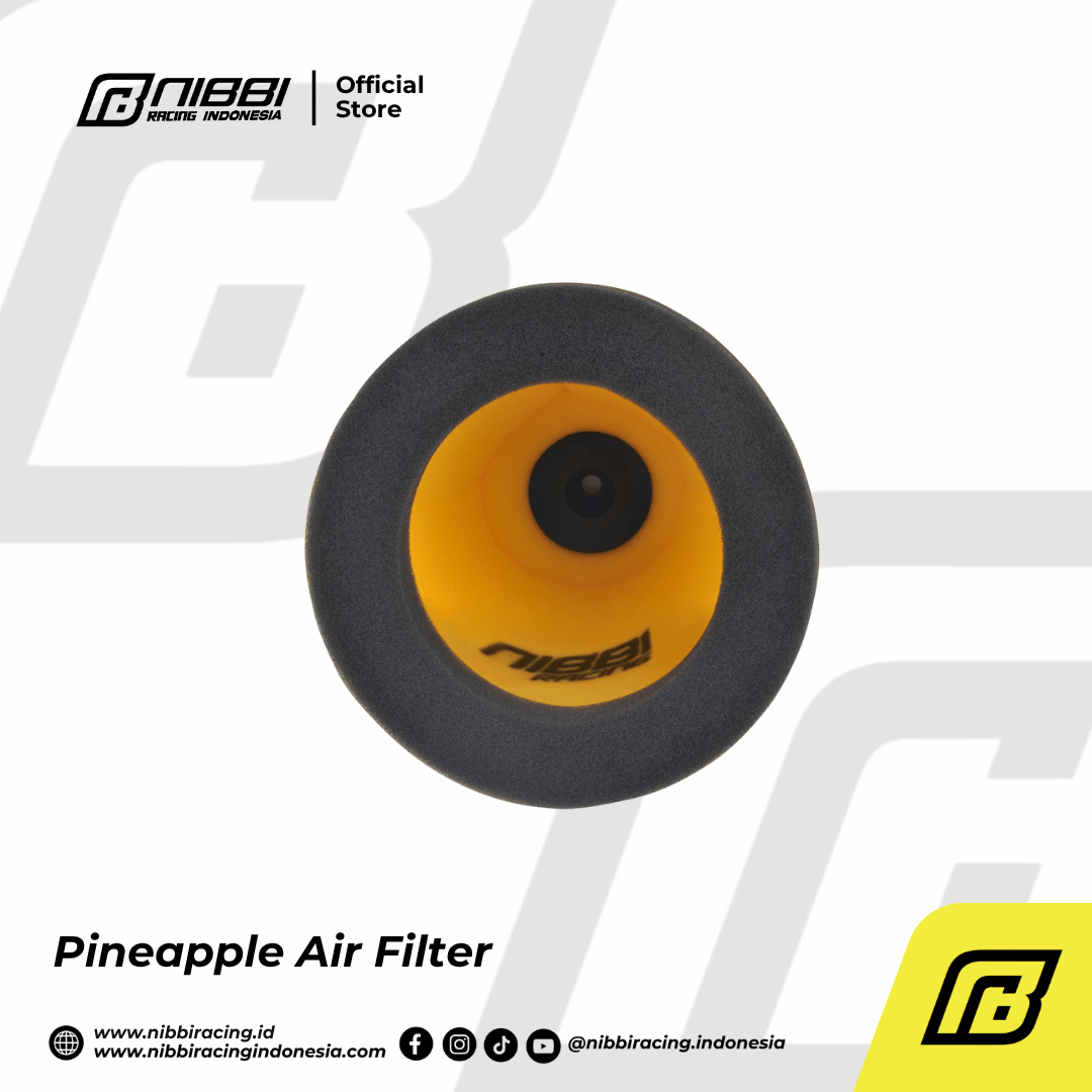 Pineapple Air Filter - Gambar 11