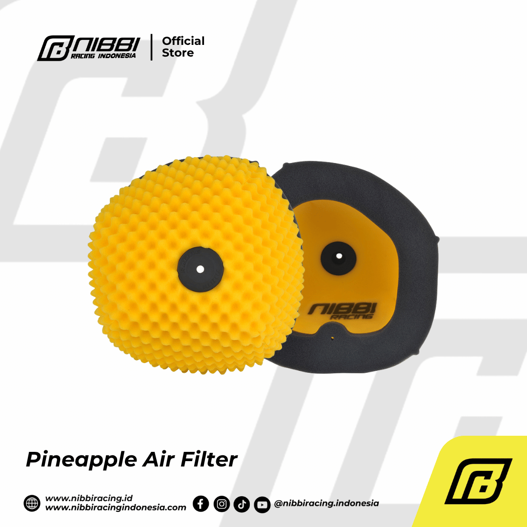 Pineapple Air Filter - Gambar 14