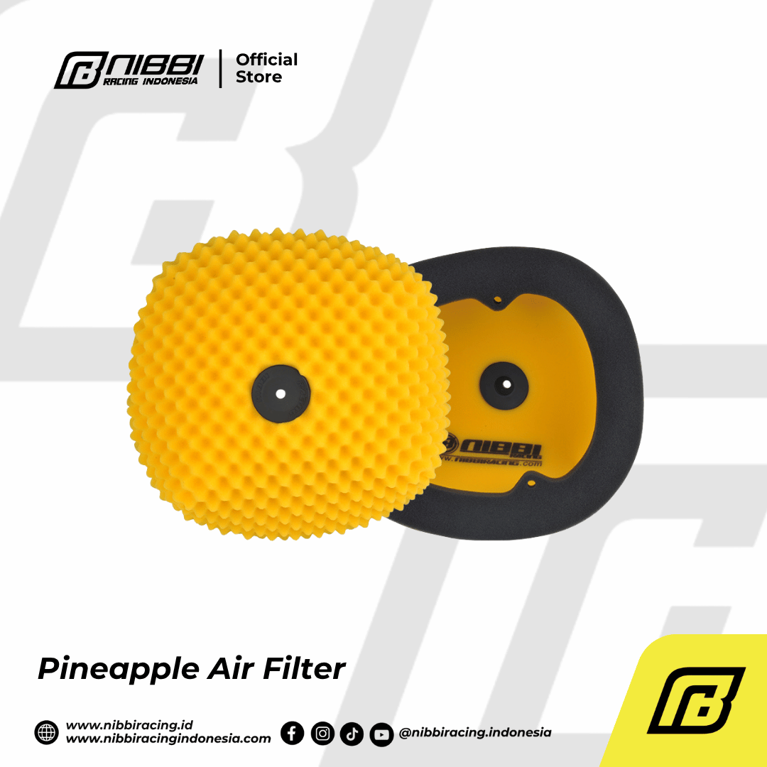 Pineapple Air Filter - Gambar 16