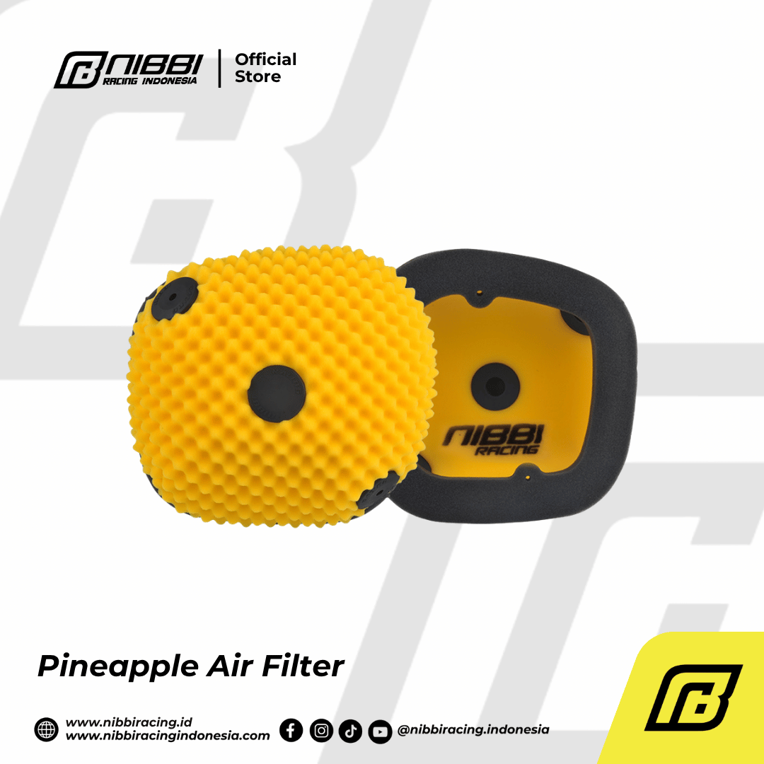 Pineapple Air Filter - Gambar 17