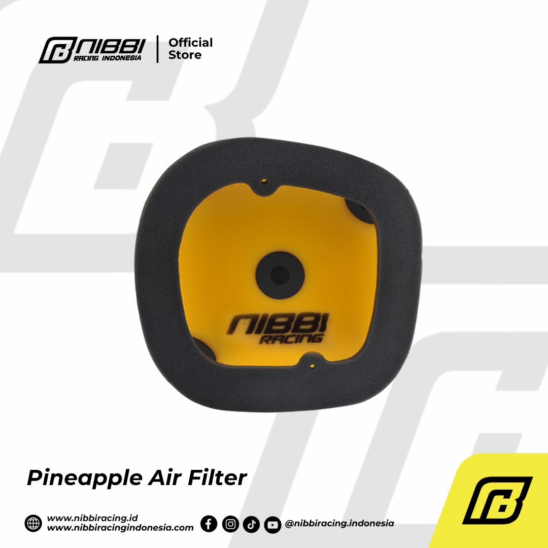 Pineapple Air Filter - Gambar 18