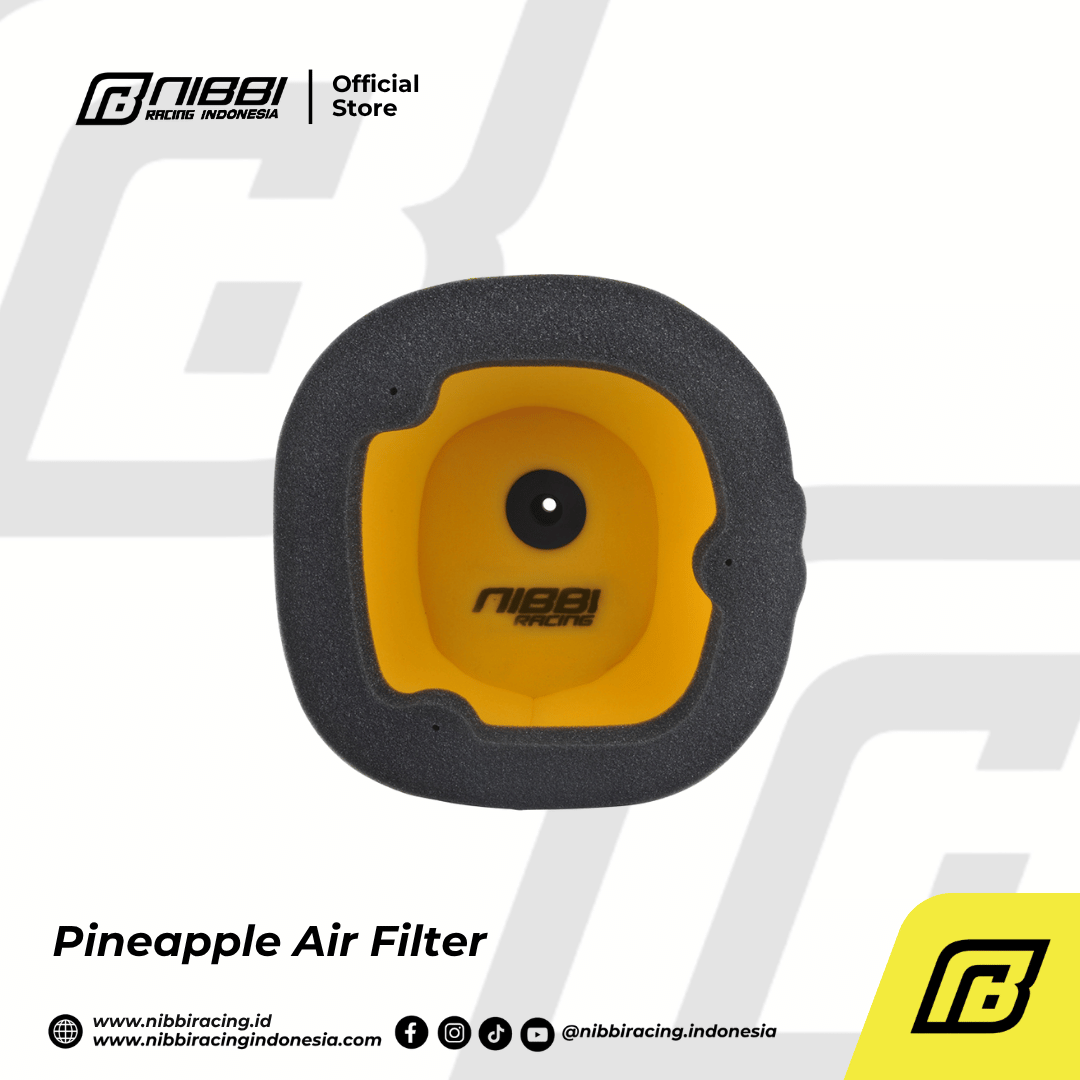 Pineapple Air Filter - Gambar 2