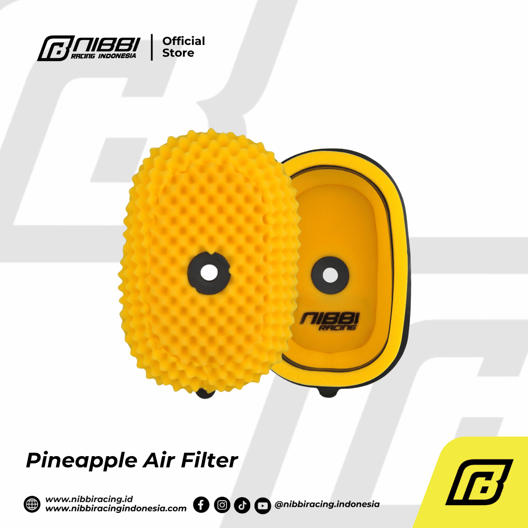 Pineapple Air Filter - Gambar 5
