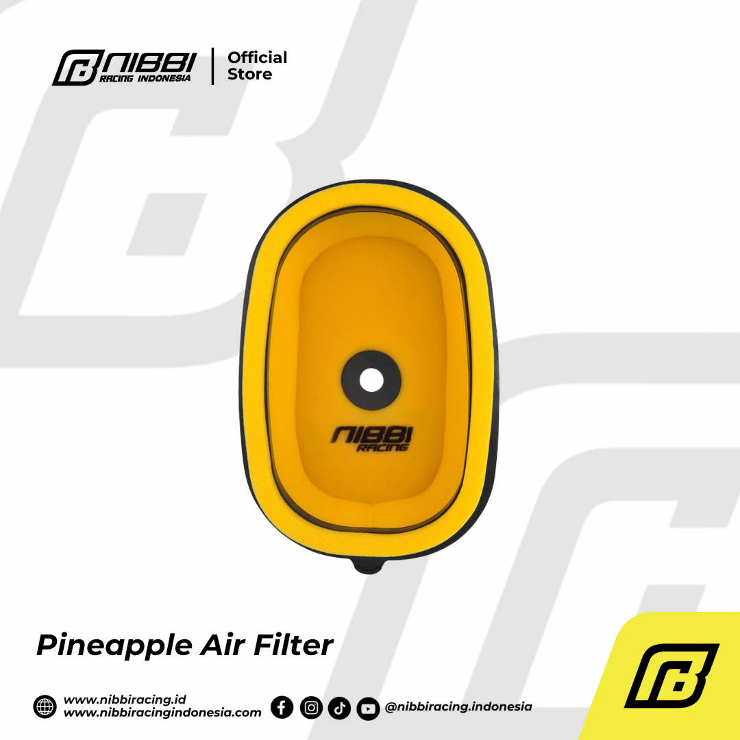 Pineapple Air Filter - Gambar 6